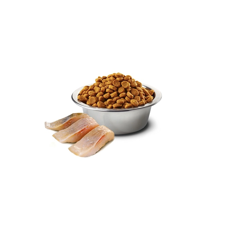 Farmina N&D Ocean GF Neutered Herring&Orange сухий корм для стерилізованих котів 300 г - з оселедцем та апельсином (8010276040145)  - фото 3
