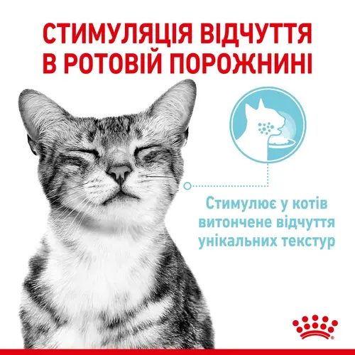 Royal Canin Sensory Feel in Gravy ВОЛОГИЙ КОРМ Супер-преміум коти (cтимулює відчуття корму) 85 г