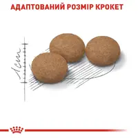 Royal Canin Ageing 12+ Sterilised СУХИЙ КОРМ Супер-преміум коти (для літніх стерилізованих) 2 кг  - фото 1