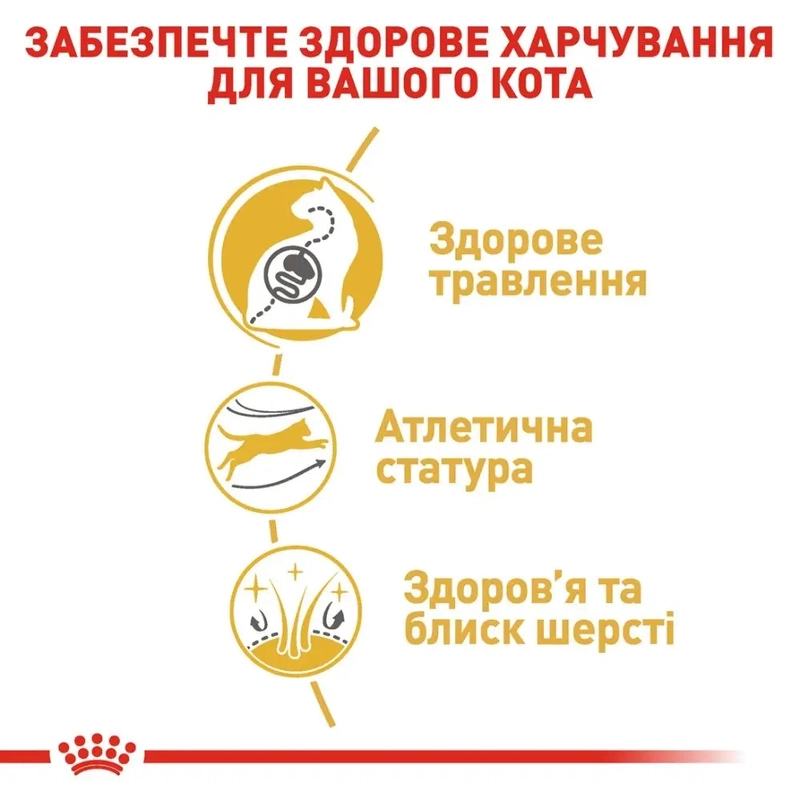 Royal Canin Bengal Adult СУХИЙ КОРМ Супер-преміум коти породи бенгальська (з м'ясом) 2 кг  - фото 2