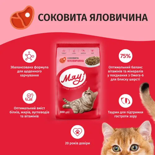 Мяу! СУХИЙ КОРМ Економ коти (з яловичиною) 300 г