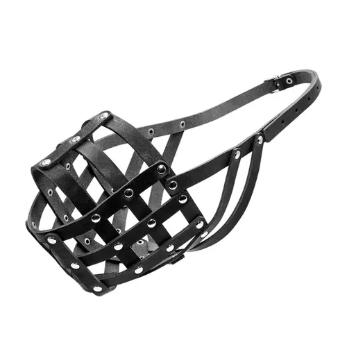 CoLLaR намордник для собак №5 - шкіряний, чорний (4820082491390)