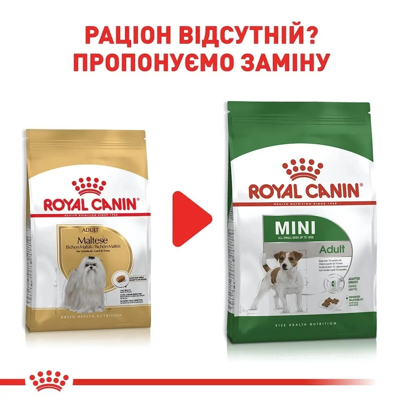 Royal Canin MALTESE ADULT сухий корм для дорослих собак породи мальтійська болонка 0.5 кг(3182550782180)  - фото 2