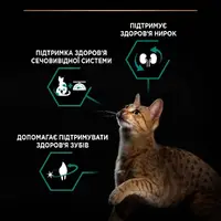 Purina Pro Plan Sterilised Adult 1+ Renal Plus СУХИЙ КОРМ Холістік коти (стерилізовані) 14 кг  - фото 2