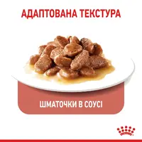 Royal Canin Light Weight Care ВОЛОГИЙ КОРМ Супер-преміум коти (для профілактики зайвої ваги) 85 г  - фото 1