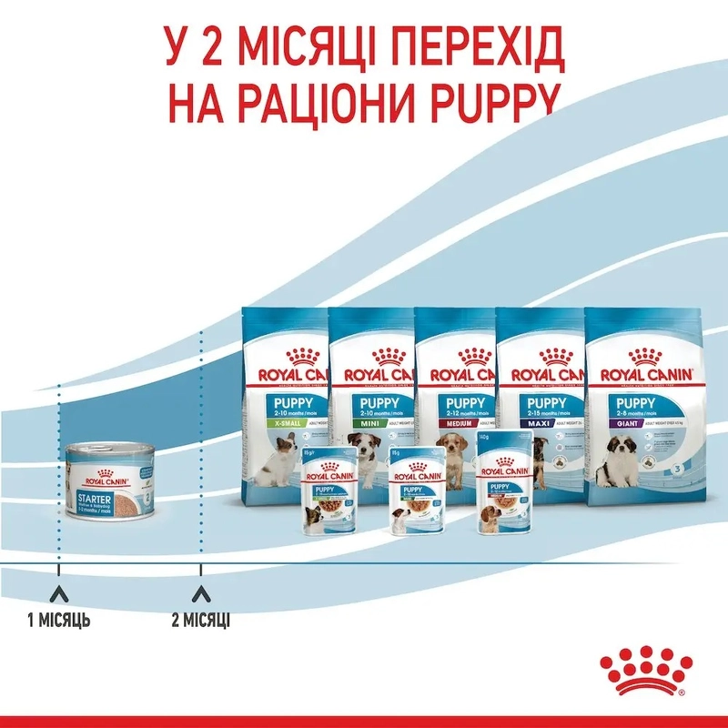 Royal Canin Starter Mousse CANS ВОЛОГИЙ КОРМ Супер-преміум собаки (з м'ясом) 195 г  - фото 4