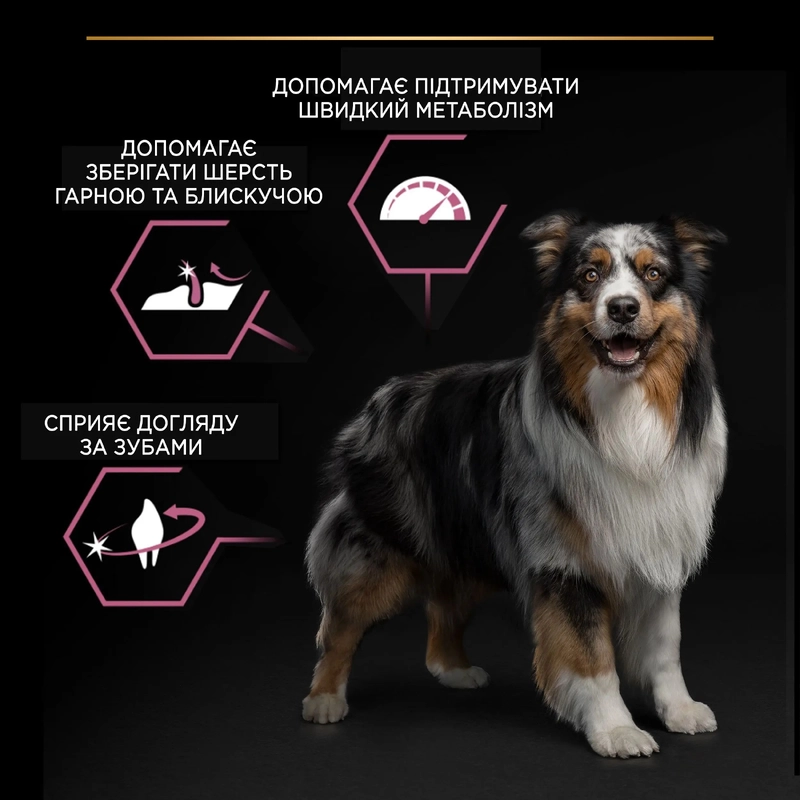 Purina Pro Plan Medium Adult Sensitive Skin сухой корм для собак средних пород с чувствительной кожей 14 кг - с лососем (7613035120464)  - фото 3