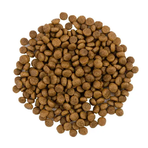 Savory сухий корм для котів гурманів 400 г - з індичкою та качкою (4820232630044)