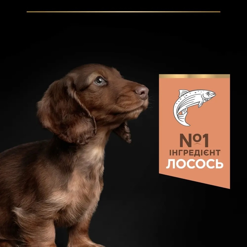 Purina Pro Plan Small & MINI Puppy 1< Sensitive Skin СУХИЙ КОРМ Супер-преміум цуценята малих порід (з лососем) 3 кг  - фото 4