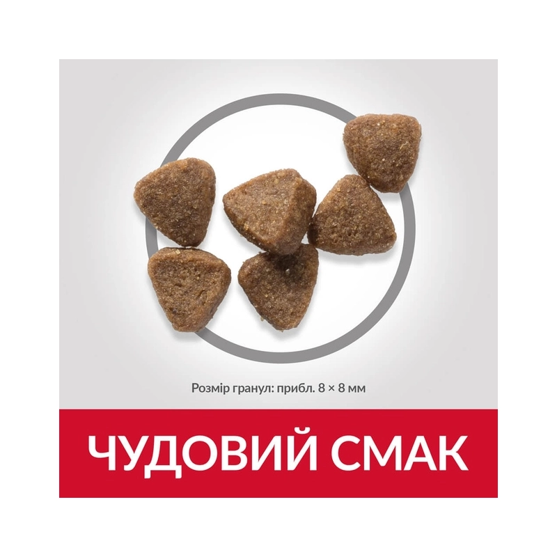 Hill's Science Plan Feline Kitten Chicken сухой корм для котят, беременных и кормящих кошек 1.5 кг - с курицей (52742059631)  - фото 1
