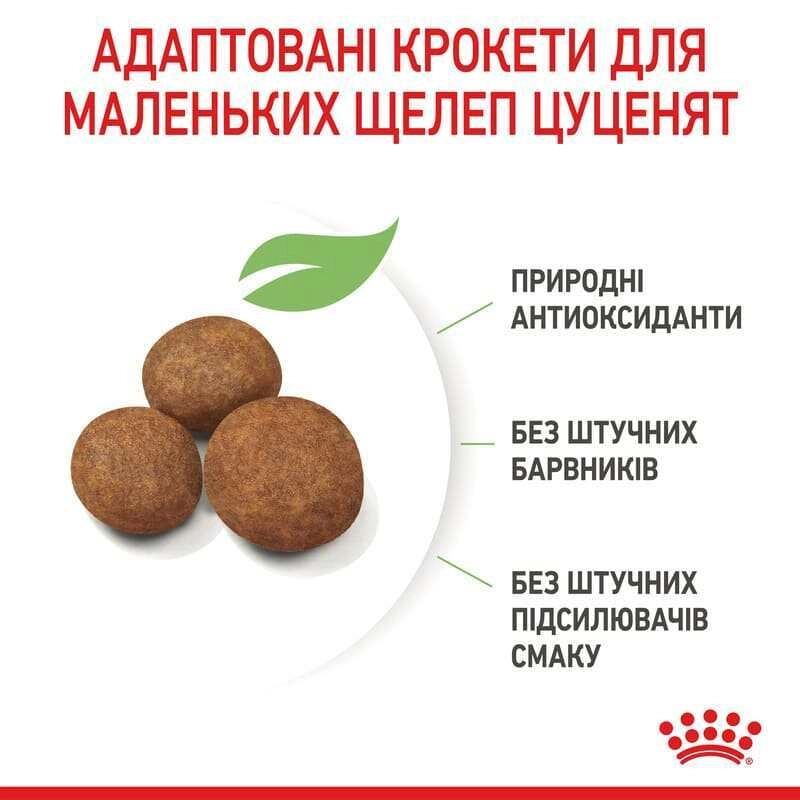 Royal Canin Maxi Puppy СУХИЙ КОРМ Супер-преміум цуценята великих порід (з м'ясом) 4 кг  - фото 7