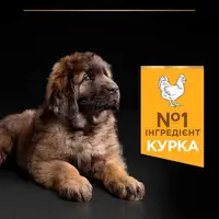 Purina Pro Plan Puppy < 2 Large Robust Chiken СУХИЙ КОРМ Супер-преміум цуценята великих порід (з куркою) 12 кг  - фото 3
