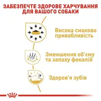 Royal Canin Chihuahua ADULT сухий корм для собак породи чихуахуа 500 г (3182550718813)  - фото 1
