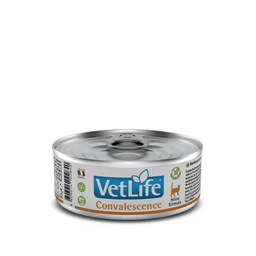 Farmina Vet Life Convalescence ВОЛОГИЙ КОРМ Холістік коти (для відновлення) 85 г