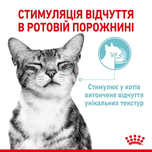 Royal Canin Sensory Feel in Jelly ВОЛОГИЙ КОРМ Супер-преміум коти (cтимулює відчуття корму) 85 г