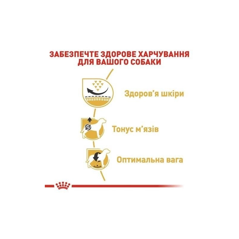 Royal Canin PUG ADULT сухий корм для дорослих собак породи мопс 1.5 кг(3182550752404)  - фото 4