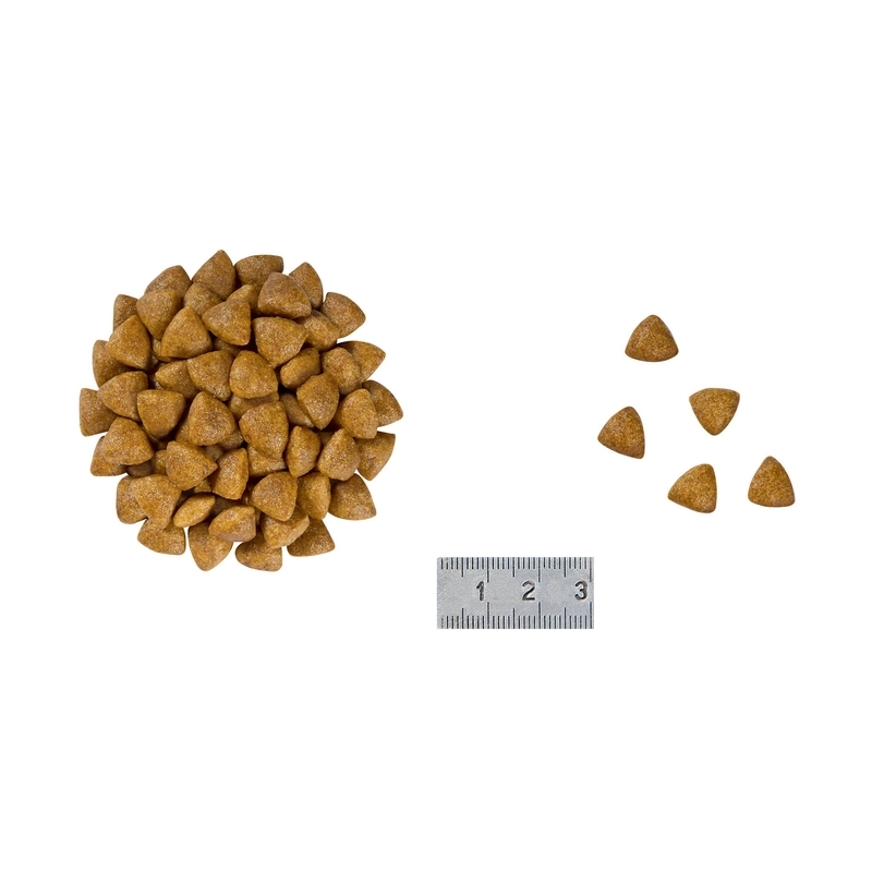 Royal Canin Renal Special СУХИЙ КОРМ Холістік коти (при захворюваннях нирок) 400 г  - фото 1