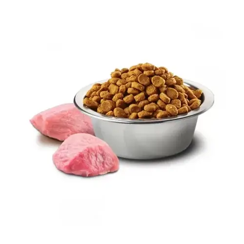 Farmina N&D ADULT Medium & Maxi Grain-Free PUMPKIN Lamb&Blueberry сухий беззерновий корм для собак середніх та великих порід 12 кг - з ягням та чорниц