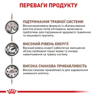 Royal Canin Gastrointestinal сухий корм для котів при розладах травлення 400 г (3182550771245)  - фото 3