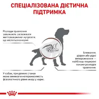 Royal Canin VETERINARY GASTROINTESTINAL LOW FAT сухий корм-дієта для собак 1.5 кг (3182550771153)  - фото 1