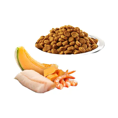 Farmina N&D Ocean GF Kitten Cod Shrimp Pumpkin&Cantaloupe сухий корм для кошенят 1.5 кг - з тріскою, креветками та динею (8010276035424)