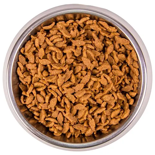 Monge Monoprotein Salmon Adult Natural СУХИЙ КОРМ Супер-преміум коти (з лососем) 1.5 кг