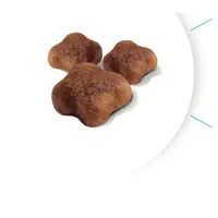 Royal Canin Mother&BabyCat сухий корм для вагітних кішок та кошенят 400 г (3182550707305)  - фото 1