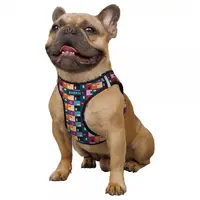 Sport Vest Barksi Печворк шлея для собак XXXS (2007033054015) 