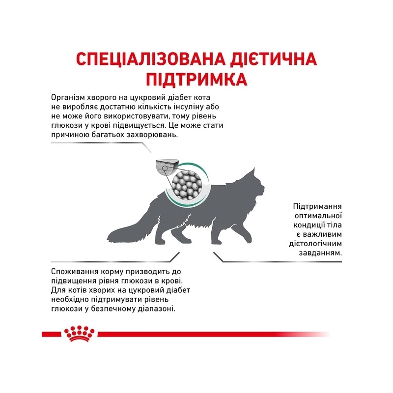 Royal Canin Diabetic сухий корм для котів при цукровому діабеті 400 г (3182550711074)  - фото 2