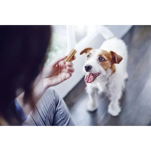 Purina DentaLife Small ЛАСОЩІ Premium собаки (для здоров'я рота) 115 г