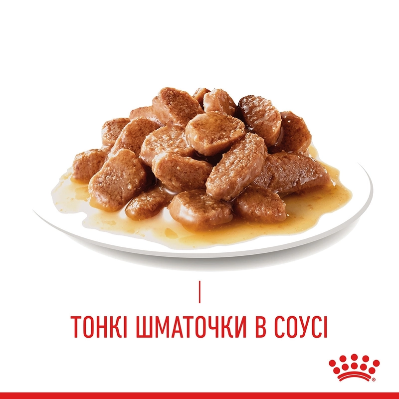 Royal Canin Hairball Care ВОЛОГИЙ КОРМ Супер-преміум коти (для виведення шерсті) 85 г  - фото 1
