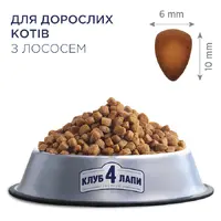 Club 4 Paws Premium сухий корм для котів 300 г - з лососем (4820083909221)  - фото 1