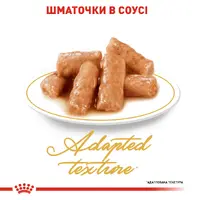 Royal Canin British Shorthair Adult влажный корм для кошек 85 г (9003579001257)  - фото 1