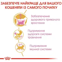 Royal Canin Maine coon Kitten сухий корм для кошенят 400 г (3182550770941)  - фото 2