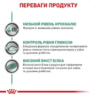 Royal Canin Diabetic ВОЛОГИЙ КОРМ-ДІЄТА Холістік собаки (паштет) 410 г  - фото 1
