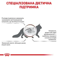 Royal Canin Gastrointestinal сухий корм для котів при розладах травлення 400 г (3182550771245)  - фото 2