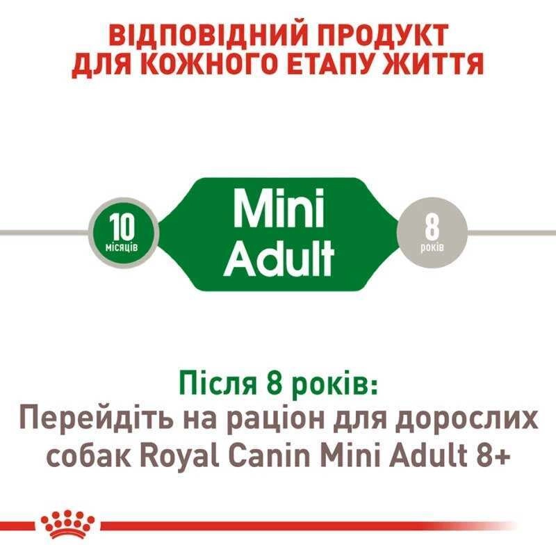 Royal Canin MINI ADULT S сухий корм для собак дрібних порід 800 г (3182551055658)  - фото 5