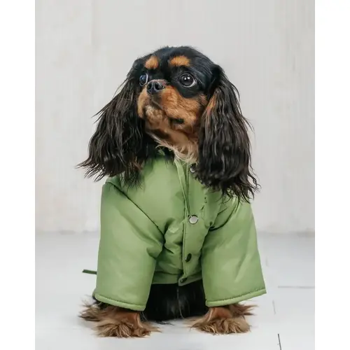 Dogs Bomba Denim парка для собак 5 - фісташкова (2000000055817)