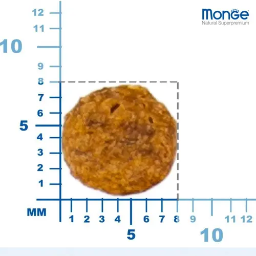 Monge Kitten сухой корм для котят 400 г - с форелью (8009470005470)