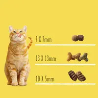 Friskies СУХИЙ КОРМ Економ коти (з яловичиною, куркою та овочами) 10 кг  - фото 1
