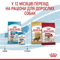 Royal Canin Medium Puppy сухий корм для цуценят середніх порід 1 кг (3182550402439)  - фото 2