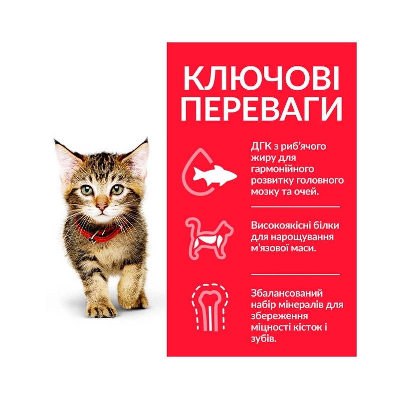 Hill's Science Plan Feline Kitten Chicken сухой корм для котят, беременных и кормящих кошек 1.5 кг - с курицей (52742059631)  - фото 2