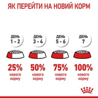 Royal Canin Hair&Skin Care сухий корм для котів для здоров'я шкіри та шерсті 400 г (3182550721721)  - фото 8
