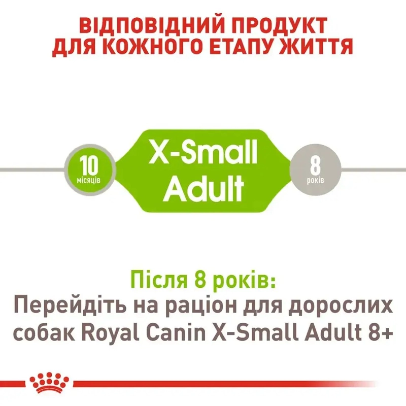 Royal Canin X-SMALL ADULT сухий корм для дорослих собак мініатюрних порід 0.5 кг(3182550793704)  - фото 3