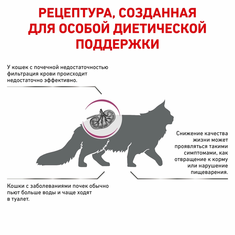 Royal Canin Renal Select сухой корм для кошек при заболеваниях почек 2 кг (3182550842204)  - фото 5