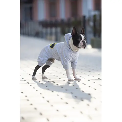 WAUDOG Clothes комбінезон для собак M 35 - з малюнком Бетмен Лого (4823089347455)