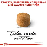 Royal Canin Maine coon Adult СУХИЙ КОРМ Супер-преміум коти (з м'ясом) 2 кг  - фото 1
