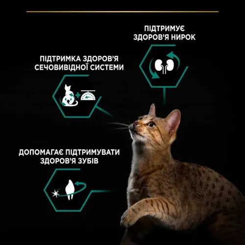 Purina Pro Plan Sterilised Adult 1+ Renal Plus сухий корм для стерилізованих котів 1.5 кг - з кроликом (7613033566325)