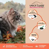 Gheda Unica Classe Adult Gourmet Exigent Dry сухий корм для котів 1.5 кг - з лососем (8001541007178)  - фото 2