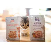 Brit Care Kitten Fillets in Gravy ВОЛОГИЙ КОРМ Супер-преміум кошенята (з індичкою) 85 г  - фото 2